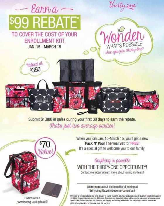 how much money do thirty one consultants make